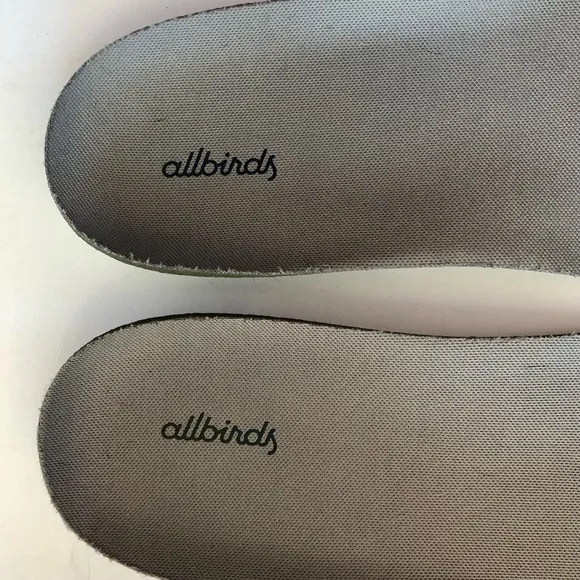 Allbirds Tree Dasher Sneakers
