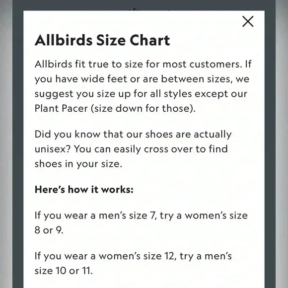 allbirds | Tree Skippers sneakers. Size: 11