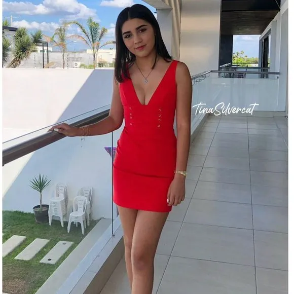BLOGGER'S Fave! Zara Red Corset Mini Dress Sz M NWT