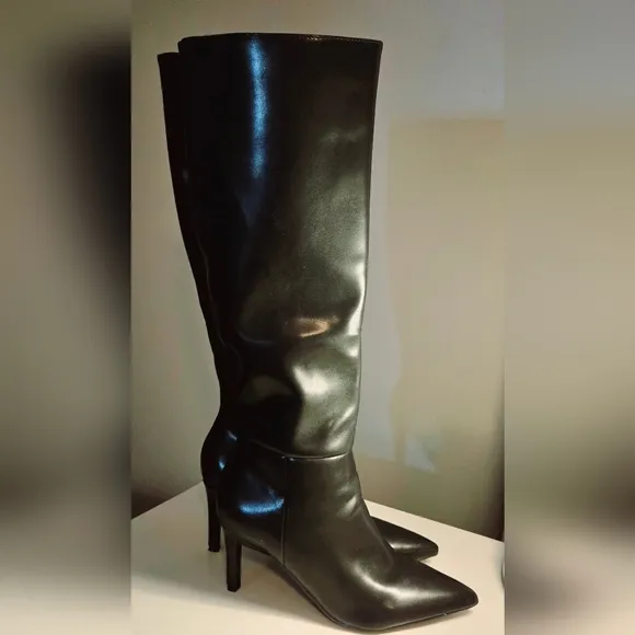 Easyfox Knee High, Pointed Toe, 3&quot; High Heel Stiletto Boots #420