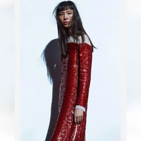 LIMITED EDITION- BLOGGER'S FAVE! SEQUIN CHIFFON DRESS ZW COLLECTION