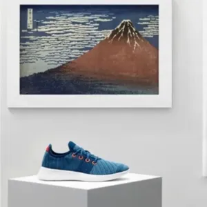Limited Edition Allbirds The MET Hokusai Red Fuji Tree Runners Women’s Sz 10
