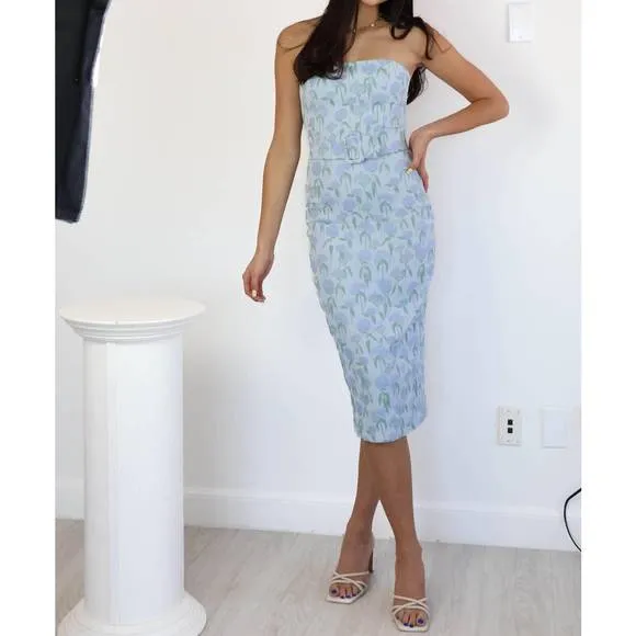 NEW AMANDA UPRICHARD fae midi dress in flores brocade