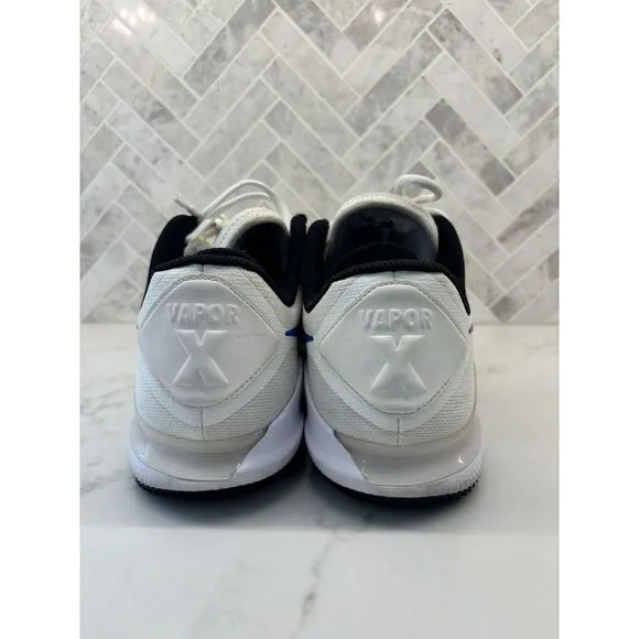 Nike Court Air Zoom Vapor‎ X Knit HC Ombre Swoosh AR0496-112 Mens 10