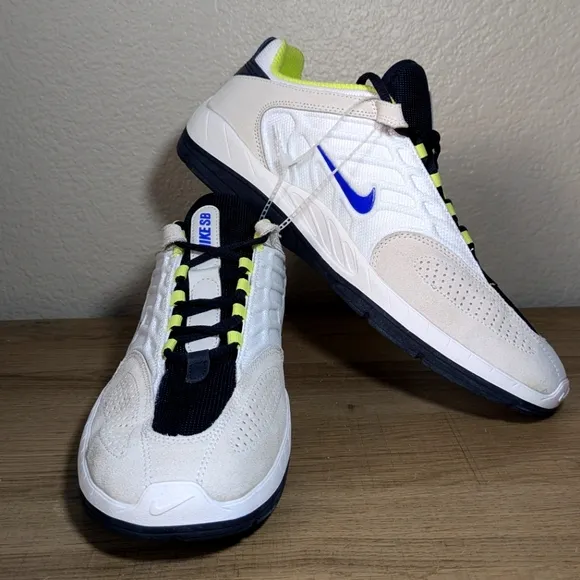 Nike SB Shoe Men 11 Vertebrae Comfortable NWOT FD4691-101