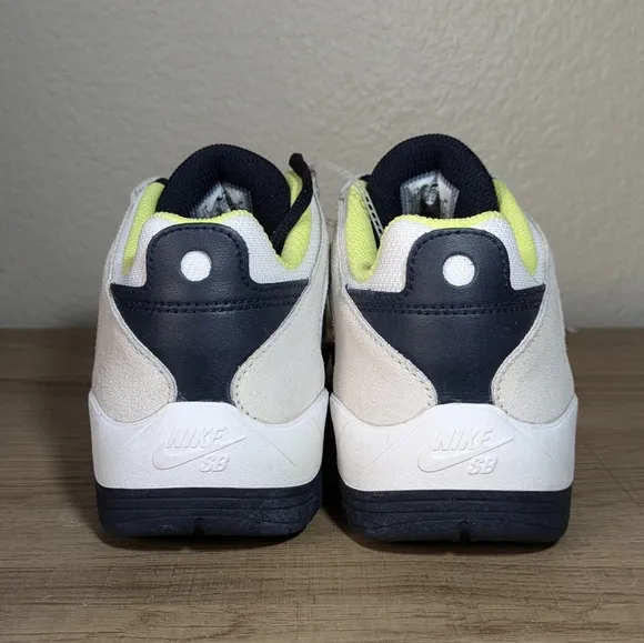 Nike SB Shoe Men 11 Vertebrae Comfortable NWOT FD4691-101