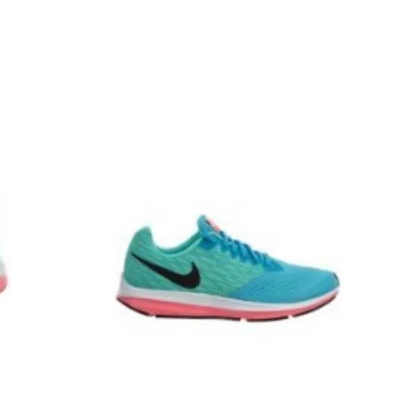Nike Winflo 4