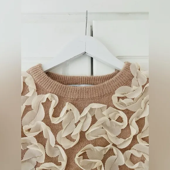 Zara RARE dusty pink knit sweater with ivory off white applique ribbon texture