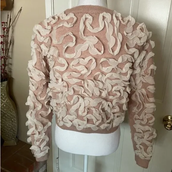 Zara RARE dusty pink knit sweater with ivory off white applique ribbon texture