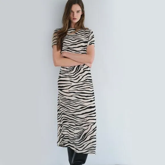 Zara ZW Collection Dress
