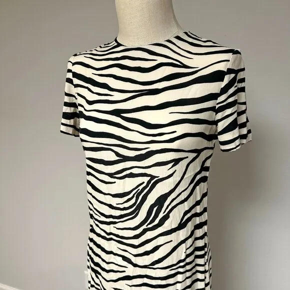Zara ZW Collection Dress